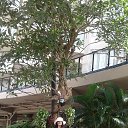 ���� ������, �����������, 48 ��� - ��������� 13 ��� 2018 � ������ ���� ����������