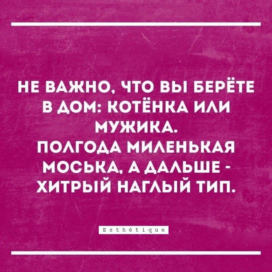 E s t h e t i q u e - 26  2018  02:55