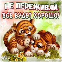 ���� ����, �����, 50 ��� - ��������� 24 ������ 2017