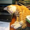  ♥♥♥♥,  -  26  2018    