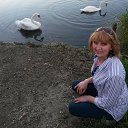 ���� �������, ��������� - ��������� 25 ������ 2017 � ������ ���������� ������