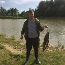 ���� ����, ������, 36 ��� - ��������� 6 ������� 2017 � ������ ���� ����������