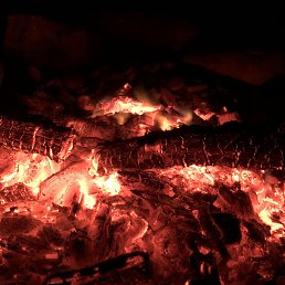 �������, ���������, 36 ���