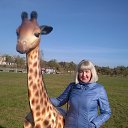 ���� �����, ����, 64 ���� - ��������� 21 ����� 2018 � ������ ���� ����������