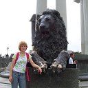 ���� ����, �����, 49 ��� - ��������� 22 ������� 2017 � ������ ���� ����������