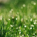 ���� Nastasya, ����, 34 ���� - ��������� 26 ������� 2018 � ������ ���� ����������