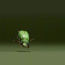 ���� ����, �����������, 60 ��� - ��������� 2 ������� 2017 � ������ ������ ��������