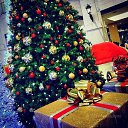 ���� �����, ����, 40 ��� - ��������� 25 ������ 2017 � ������ �����