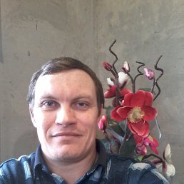 , 45, 