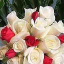 ���� �������, ����, 59 ��� - ��������� 19 ���� 2018