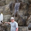 ����������� ����� 2014� �� ������� ���� ����������