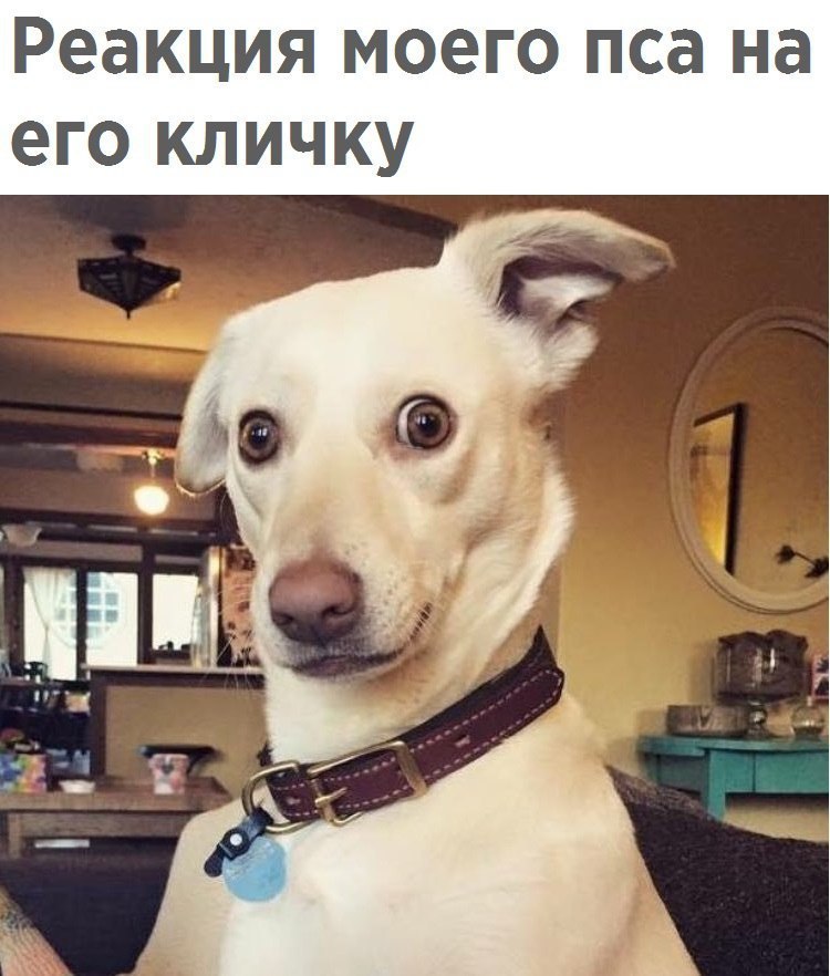 "-"