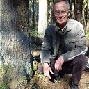 ���� Sai-vladimir, �����-��������� - ��������� 10 ���� 2018 � ������ ���� ����������