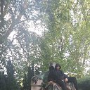 ���� �������, �����, 38 ��� - ��������� 10 ������� 2018 � ������ ������ ��������