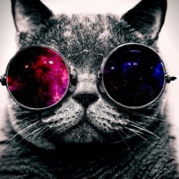 ����������, �������