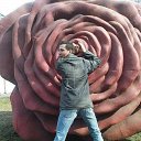 ���� ������, �����-��������� - ��������� 14 ������� 2017 � ������ ���� ���������� �����)�