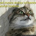 ���� ���������, ������ - ��������� 5 ������� 2017 � ������ ������ ��������