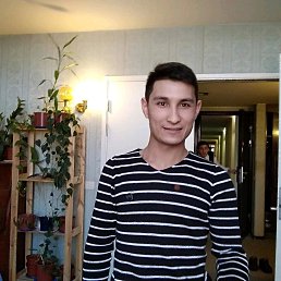 �����, �����-���������, 29 ���