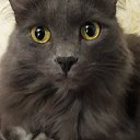 ���� ����, ����-������, 42 ���� - ��������� 3 ������ 2018 � ������ ���� ����������