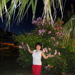 ���� ��������, ������, 52 ���� - ��������� 23 ���� 2018