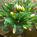 ���� ��������, �������� - ��������� 9 ����� 2018 � ������ ���� ����������