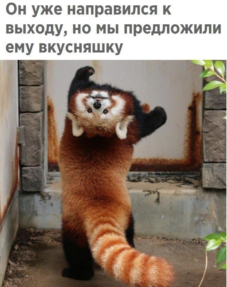  - 8  2018  02:43