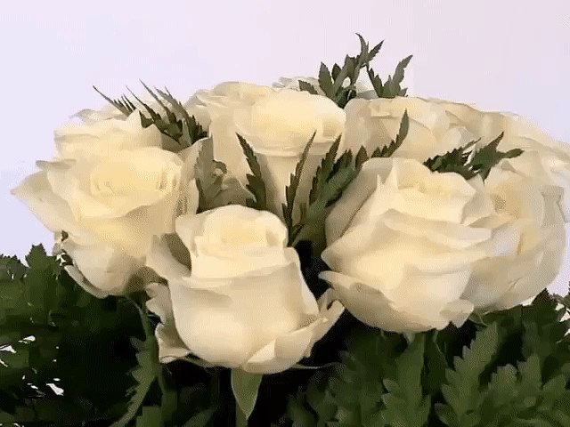    ...    -  ...      - ...