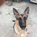 ���� ����������, ��������, 53 ���� - ��������� 1 ���� 2018 � ������ ���� ����������