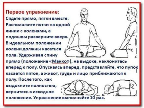 Описание и техника выполнения