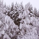 ���� ������, ������, 71 ��� - ��������� 7 ������� 2018 � ������ ���������� ������ ��ѻ