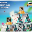 ���� ���������, ������ - ��������� 8 ���� 2018 � ������ �������� �������-�������