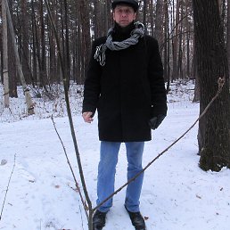 ������, ������ �����, 62 ����