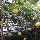 ���� Aleksa, �������, 48 ��� - ��������� 11 ����� 2018 � ������ ���� ����������