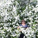 ���� ������, ���������, 71 ��� - ��������� 31 ��� 2018 � ������ ���� ����������