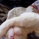  Sergey, , 52  -  24  2018    