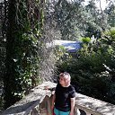 ���� �������, ����, 58 ��� - ��������� 3 ��� 2018 � ������ �1 ����