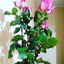 ���� ���������� )) �� ������� ���� ����������