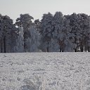 ���� ���������, �������, 52 ���� - ��������� 2 ������ 2018 � ������ �� ����� 2018 �����!!!�