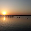 ����� �� ������������� "������ ������" �� ������� ���� ����������