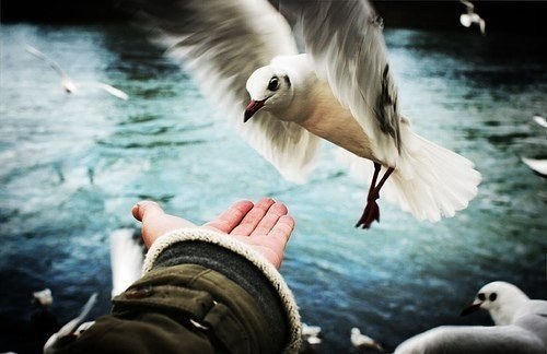 �� ������ ������ ���� ��� ����� �� ���������. ������ ������ ���� ��� ����� �� ������. ����� ������