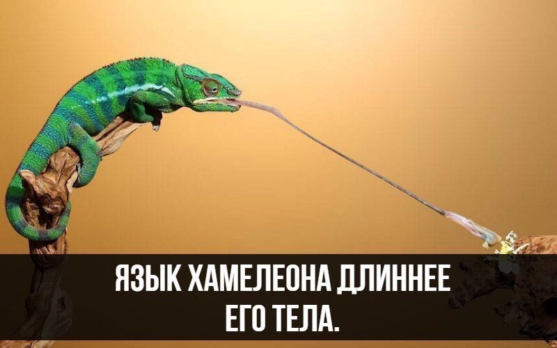  - 10  2017  03:40