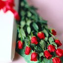 ���� 165656, �������, 37 ��� - ��������� 10 ��� 2018 � ������ ���