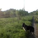 ���� �������, �������, 53 ���� - ��������� 6 ���� 2018 � ������ ���� ����������