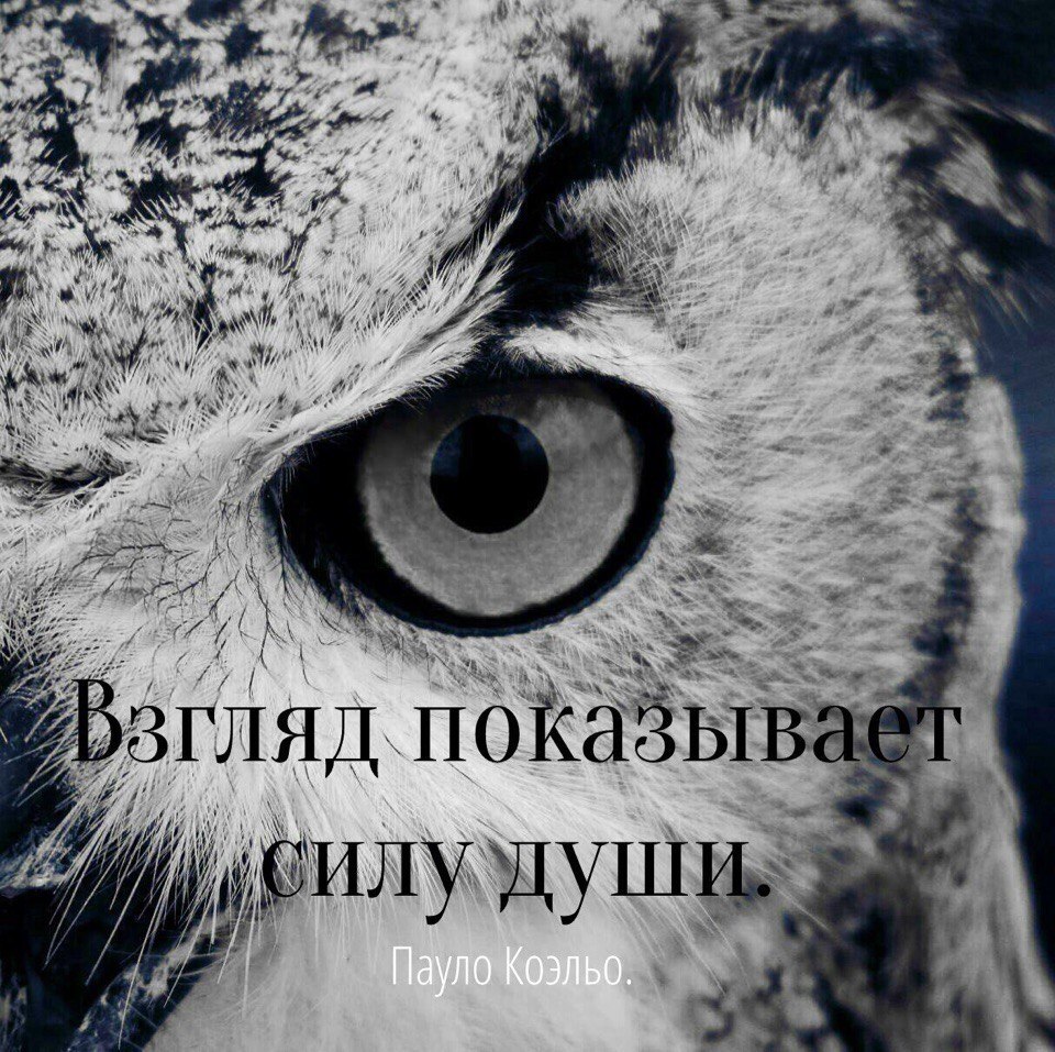 ��������. - 24 ������ 2017 � 06:42