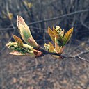 ���� ....Svet, �������, 42 ���� - ��������� 3 ���� 2018 � ������ �...)�