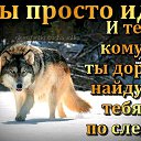 ���� ������, ������, 49 ��� - ��������� 6 ������ 2018