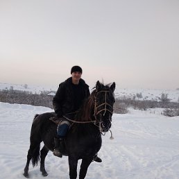 �������, ��������, 33 ����