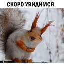 ���� ������, ����������� - ��������� 9 ������ 2018