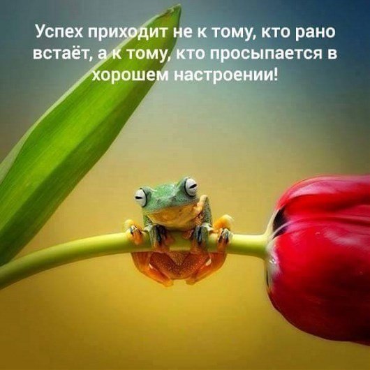 ***Victoria Viktorovna*** - 12  2018  19:10