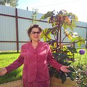 ���� ����, ������ ��������, 76 ��� - ��������� 8 ������ 2018 � ������ ���� ����������